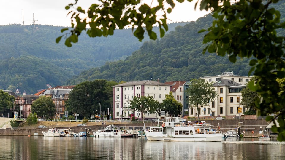 Neckarwiese which includes a bay or harbor