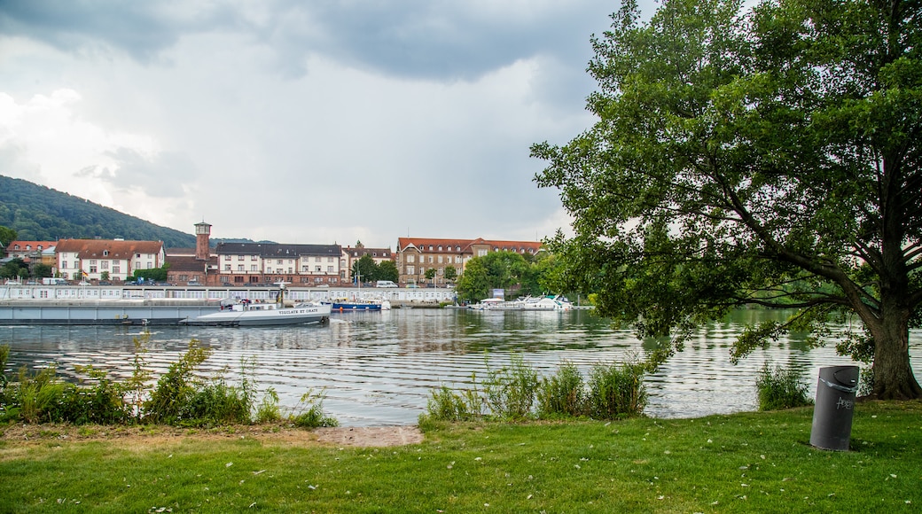 Neckarwiese featuring a bay or harbor and a garden