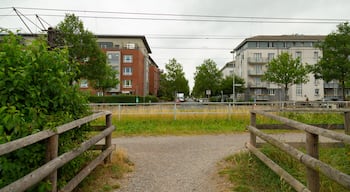 Bemerode showing a park