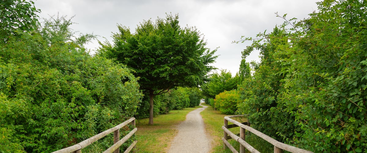 Bemerode showing a park
