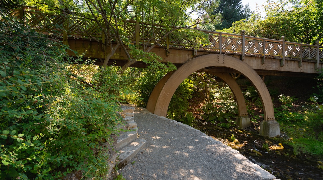 水晶溫泉杜鵑園