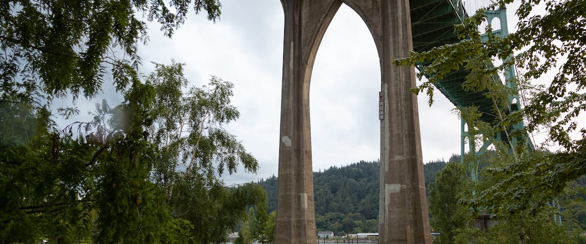 Cathedral Park showing a bridge and a garden