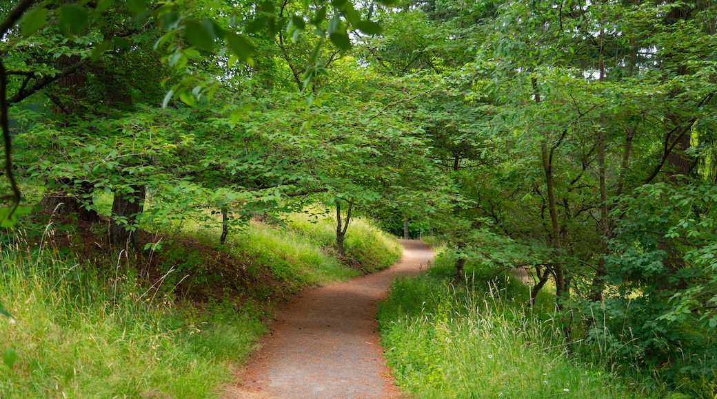Washington Park