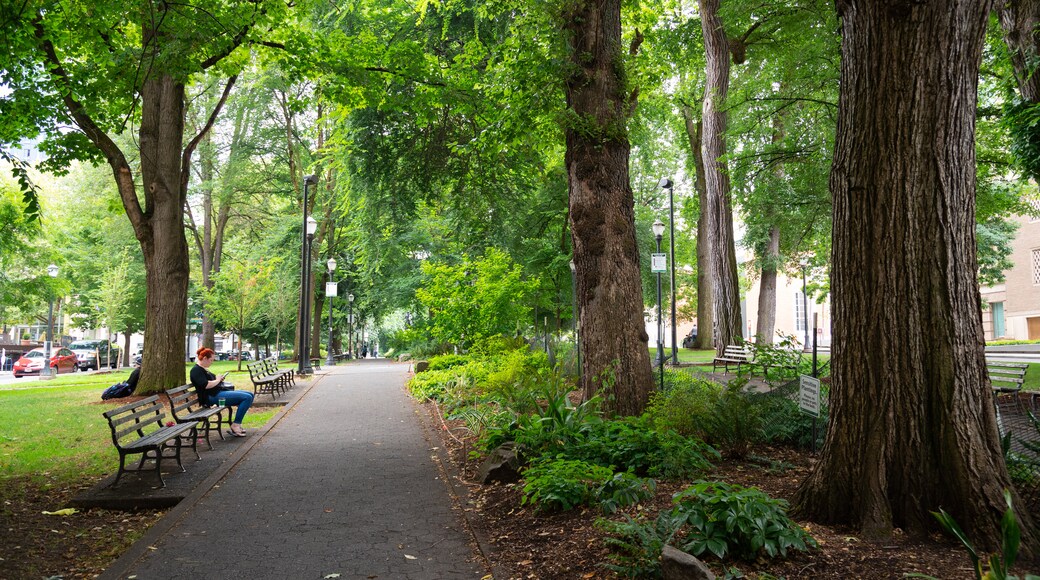 South Park Blocks