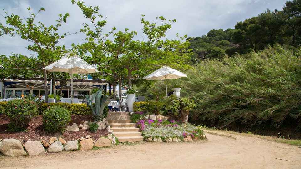Cala Canyelles Beach showing a garden and wildflowers