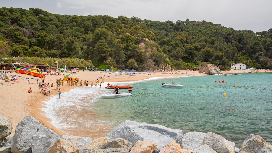 Playa de Canyelles