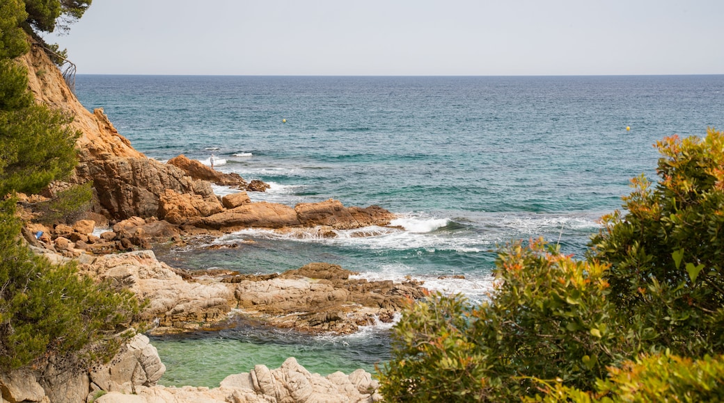 Bãi biển Cala Boadella