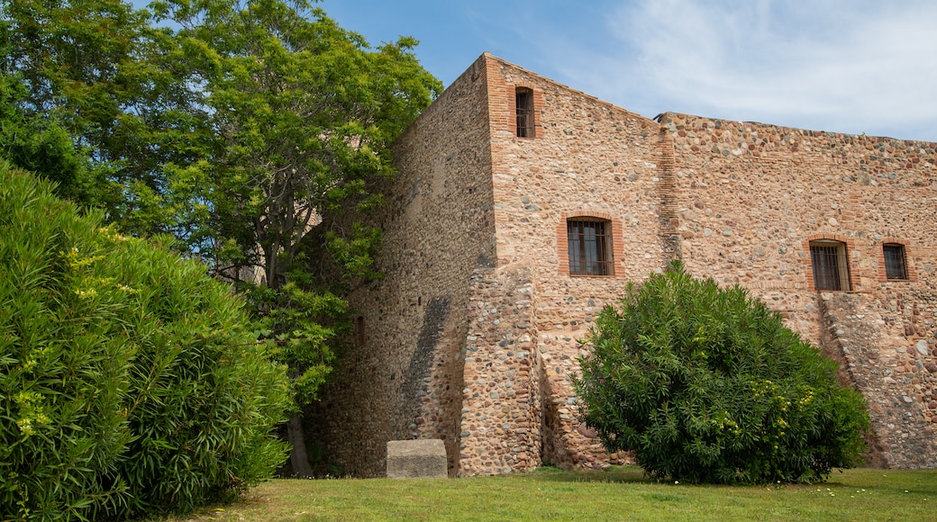 Castle Vilafortuny