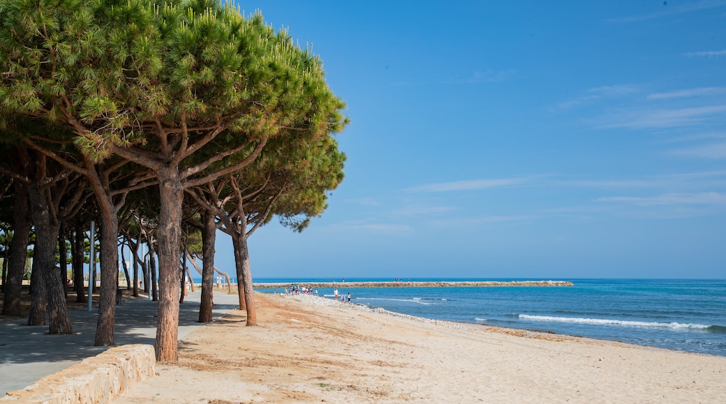 Cambrils Beach featuring general coastal views and a beach