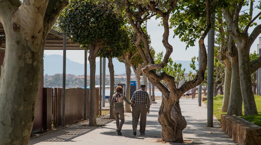 Platja del Regueral