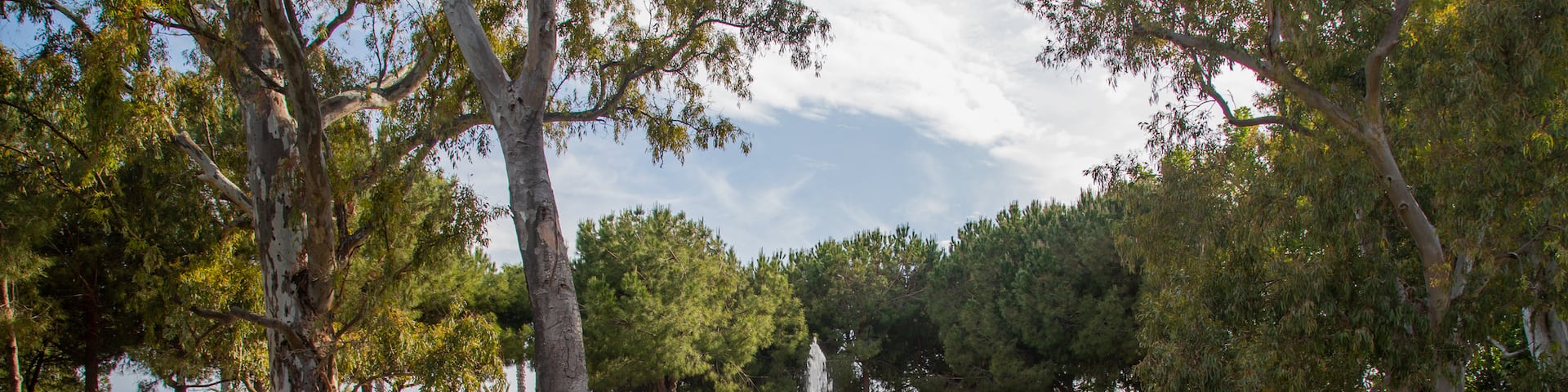 Fisherman\'s Park featuring a fountain and a park