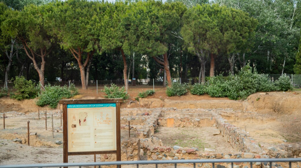 La Llosa Roman Villa