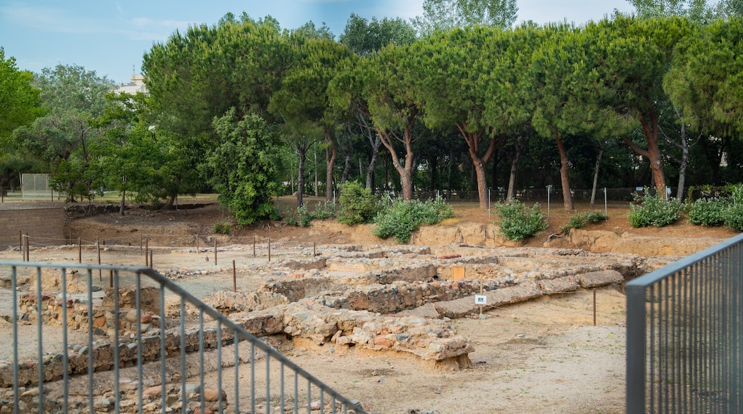 La Llosa Roman Villa