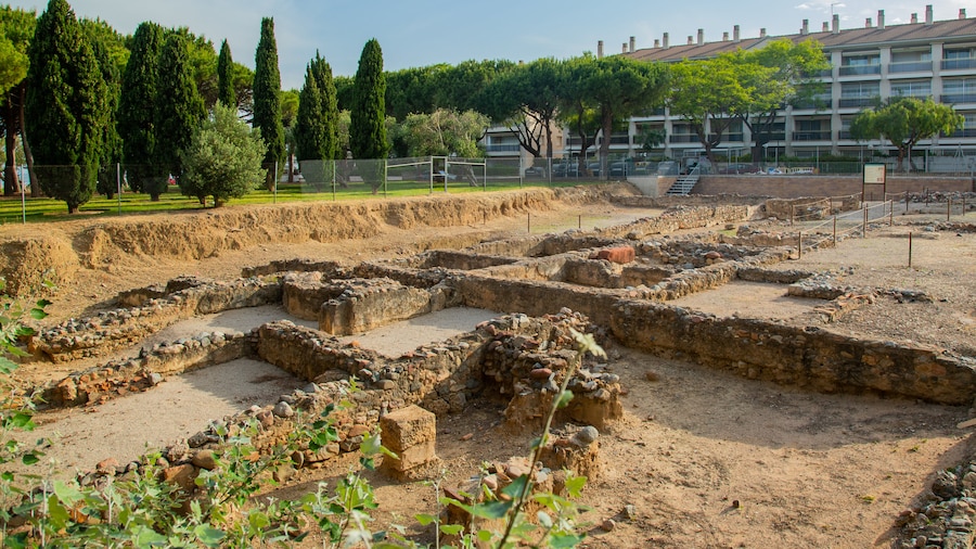Villa romana de la Llosa