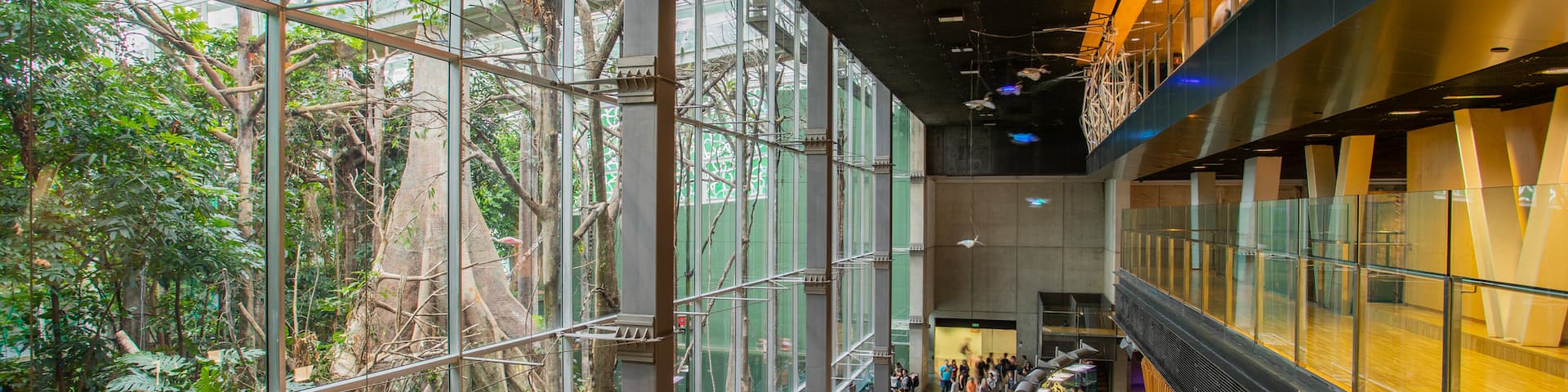 CosmoCaixa which includes interior views as well as a small group of people