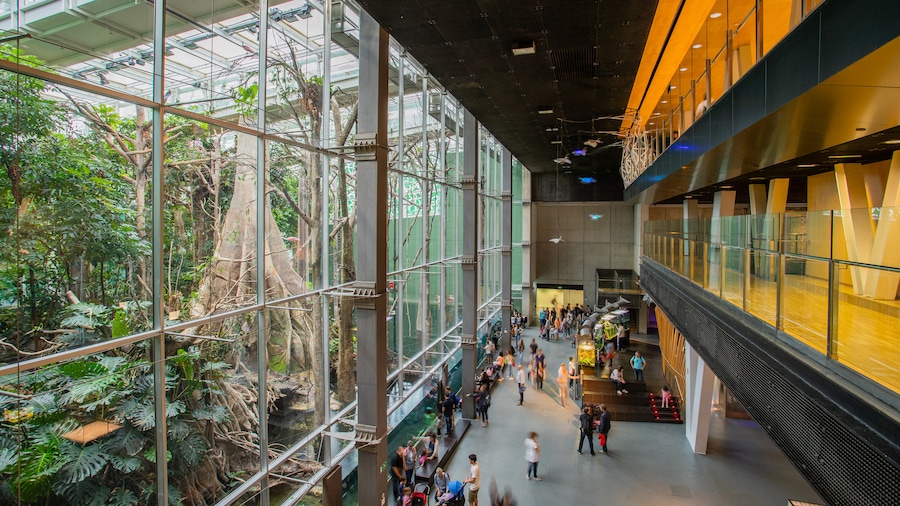 CosmoCaixa