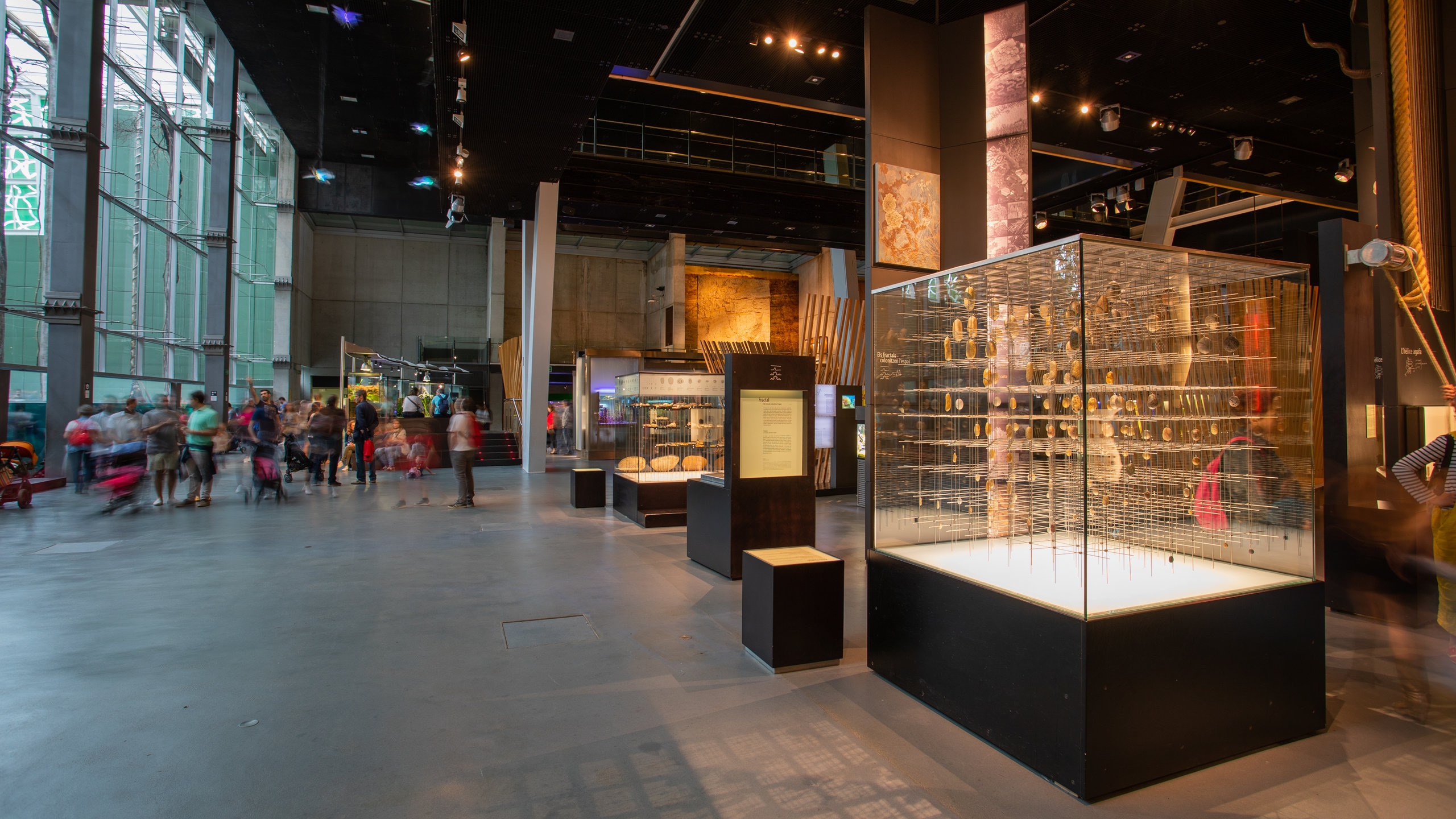 CosmoCaixa featuring interior views