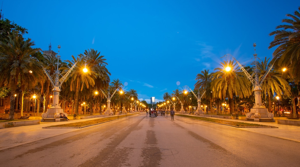 Arc de Triomf featuring night scenes