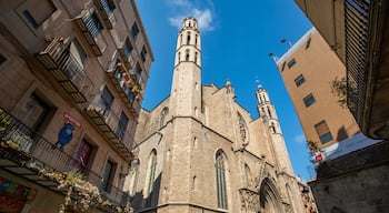 Basilica de Santa Maria del Mar showing a church or cathedral and heritage architecture