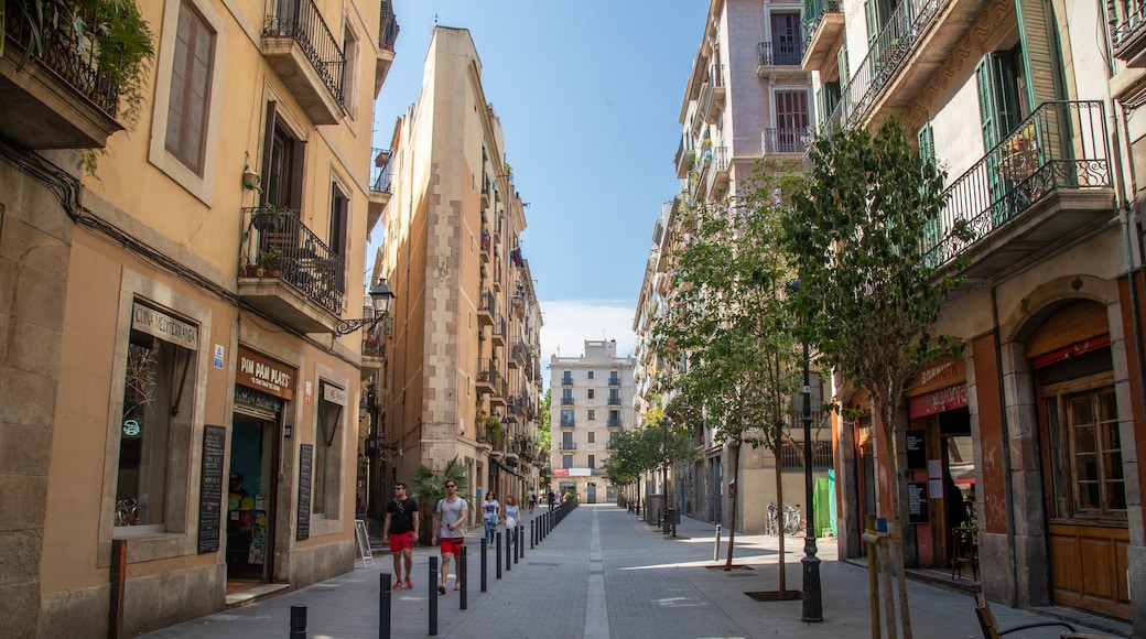 La Ribera showing a city