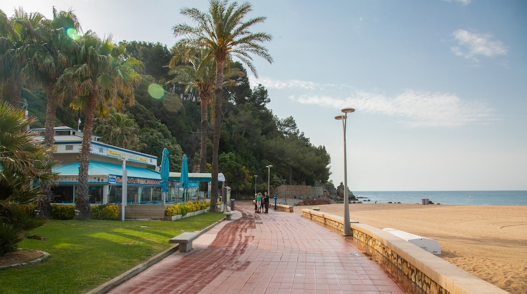 Fenals Beach showing general coastal views, a beach and a coastal town