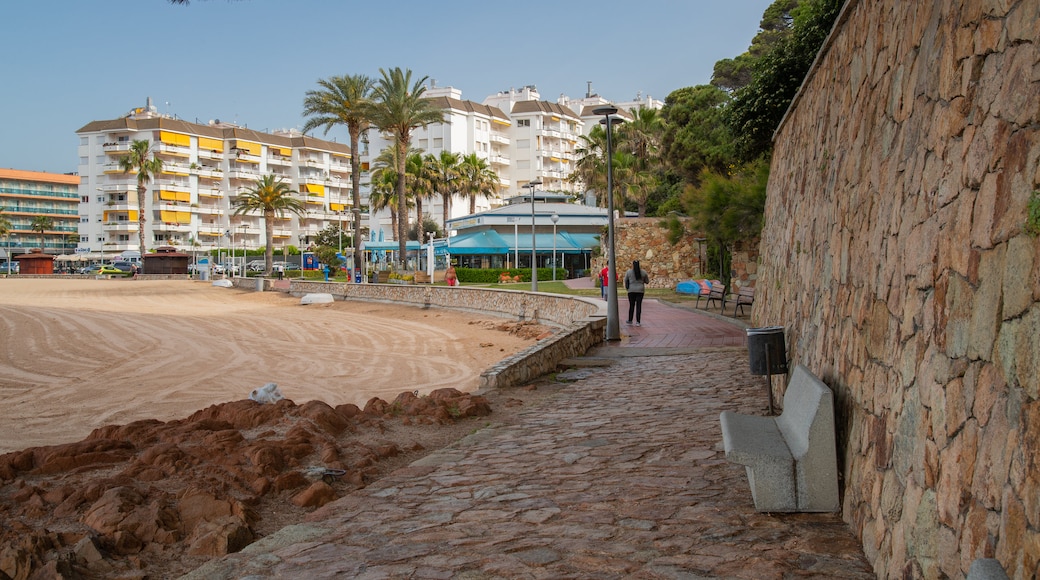 Fenals Beach which includes a beach and a coastal town