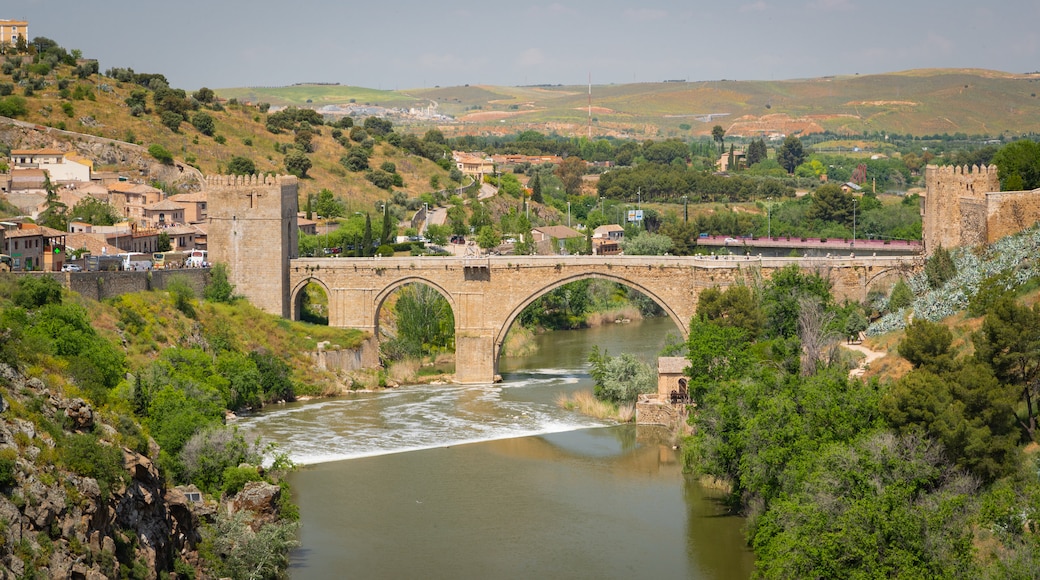 San Martin Bridge featuring landscape views, a river or creek and a bridge