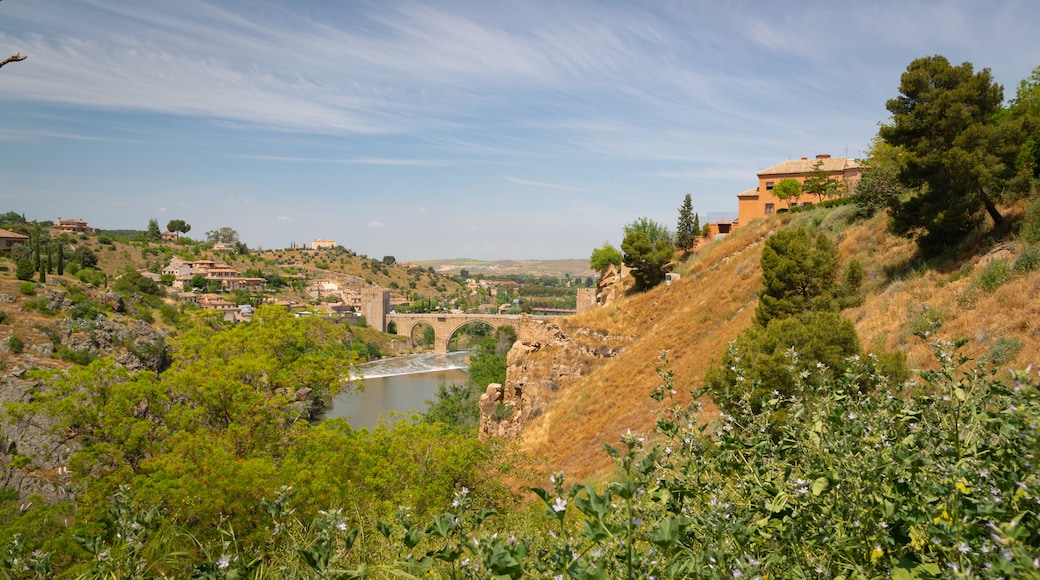 San Martin Bridge featuring landscape views and a river or creek