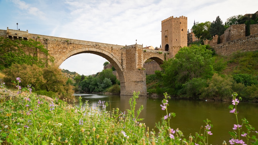 Puente de Alcantara