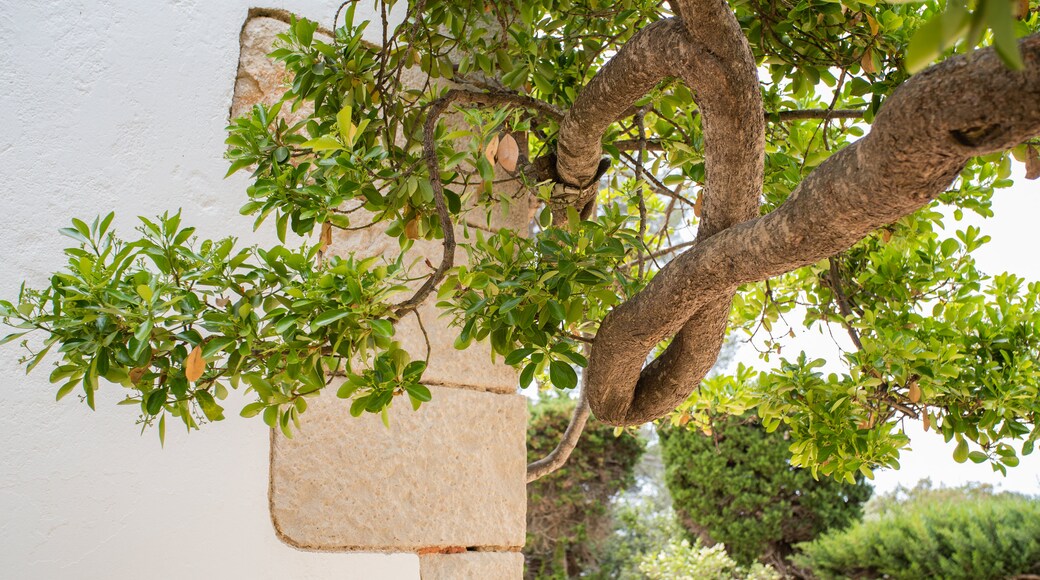 Ermita Santa Cristina