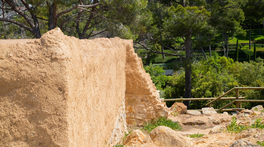 Turo Rodo Iberian Settlement