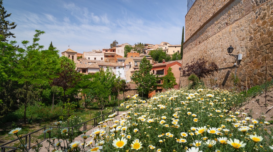 Centro da cidade de Toledo