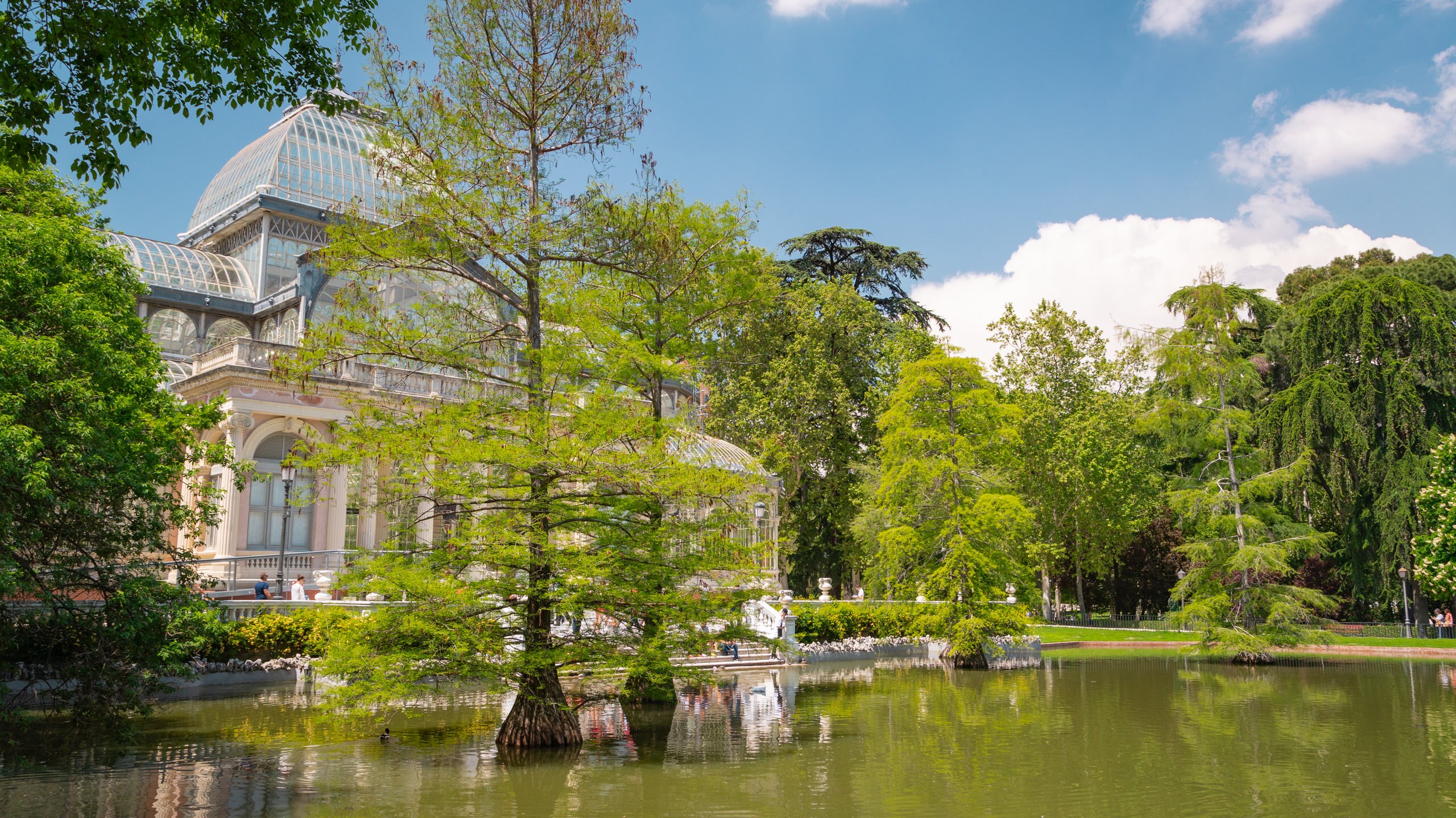 El Retiro Park. Practical information and visits