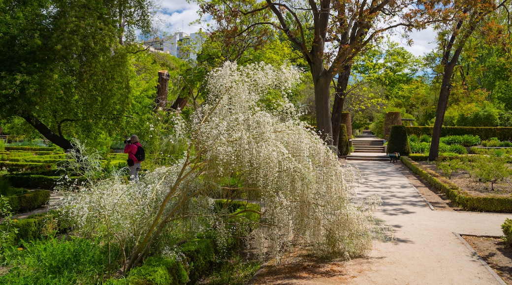 Jardin botanique royal