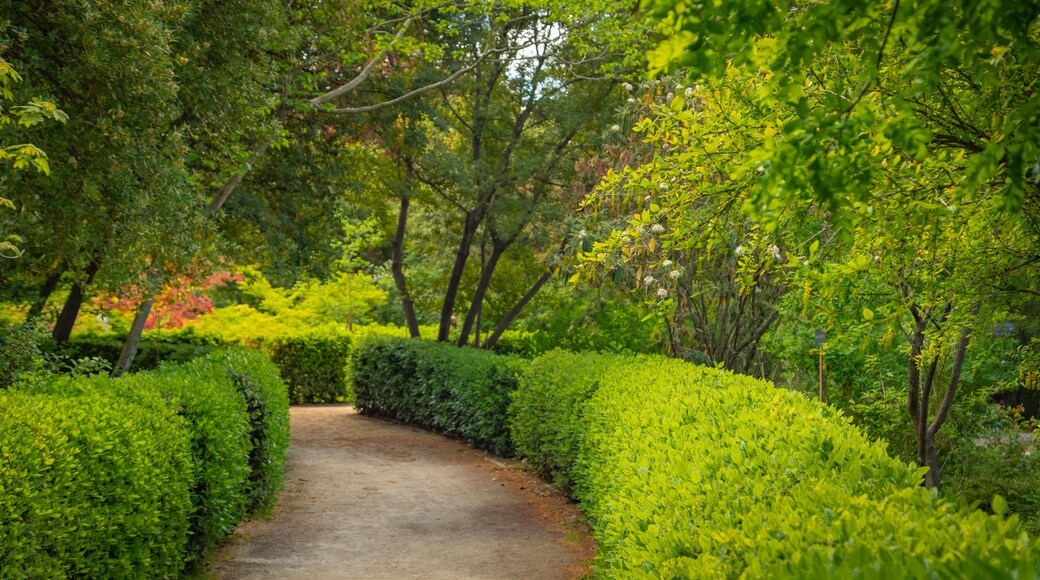 Jardin botanique royal