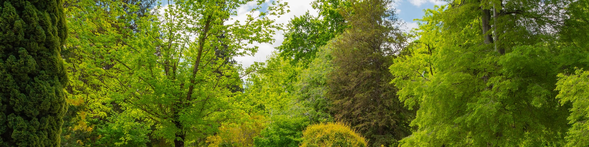 Royal Botanical Garden which includes a park and a fountain as well as a small group of people