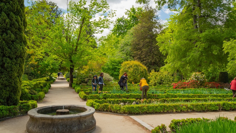 Royal Botanical Garden