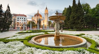 Church of San Manuel y San Benito showing heritage architecture, flowers and a garden