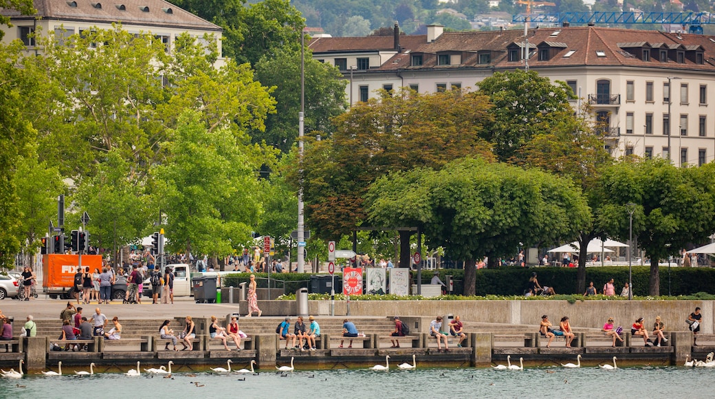 Passeggiata sul lungolago