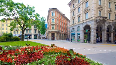 Lugano featuring flowers and a garden