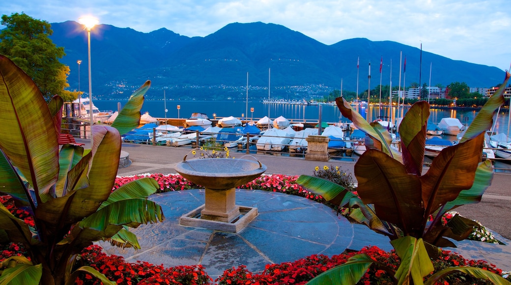 Locarno featuring a bay or harbor, a fountain and flowers