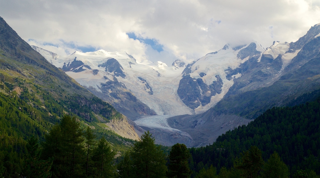 Morteratsch Glacier