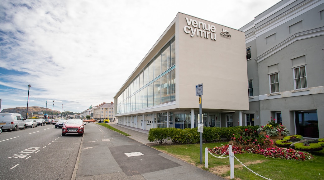 Venue Cymru