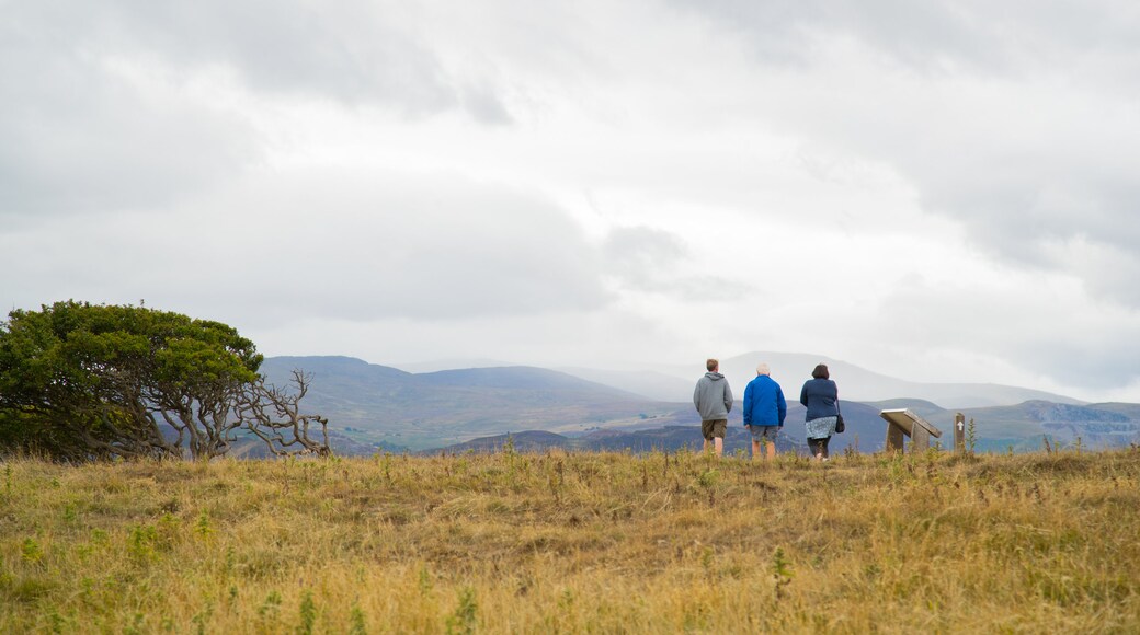 Pen-y-Dinas Hillfort showing tranquil scenes and landscape views as well as a small group of people