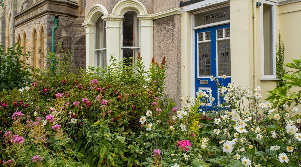 Llandudno museum