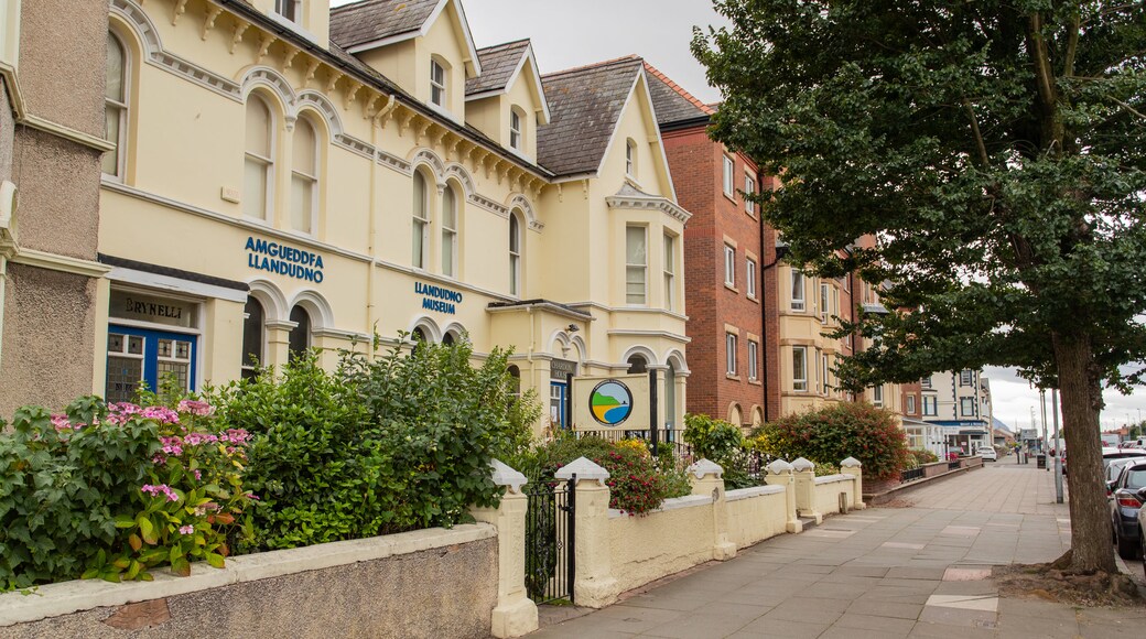 Llandudno museum