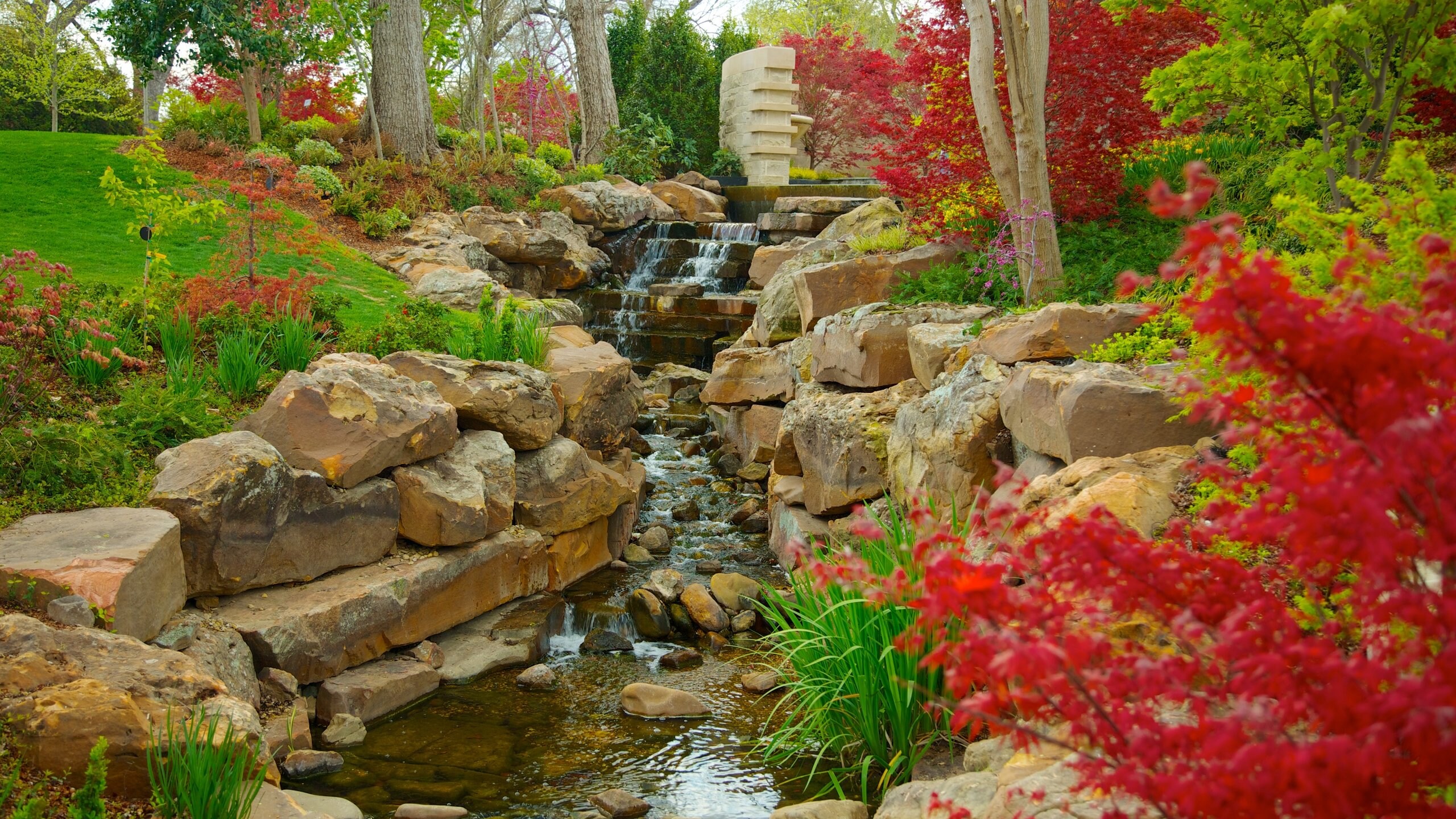 Visita Arboreto y jardín botánico de Dallas en Dallas Expedia.mx