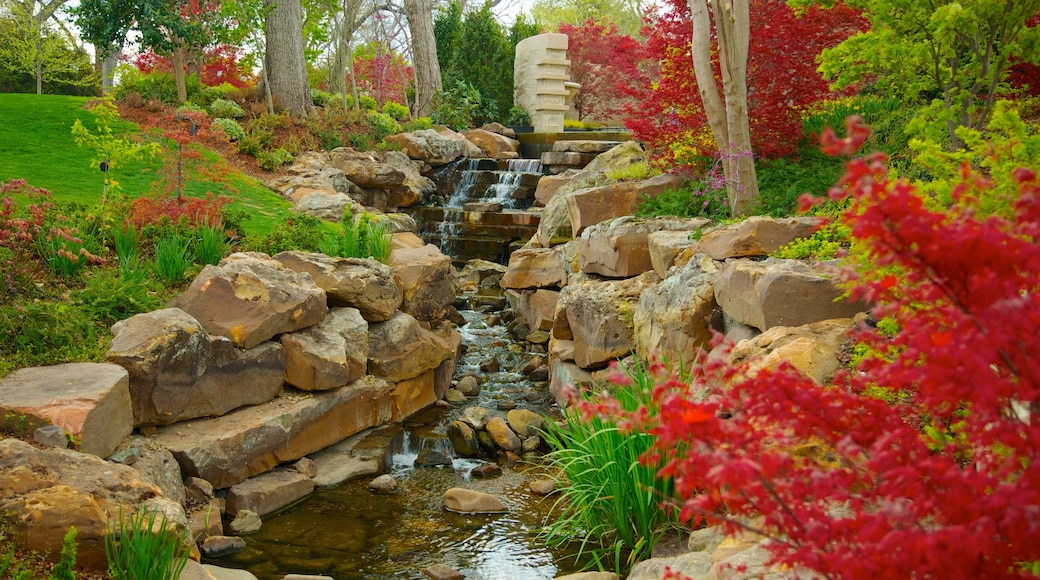 Visita Arboreto y jardín botánico de Dallas en Dallas Expedia.mx