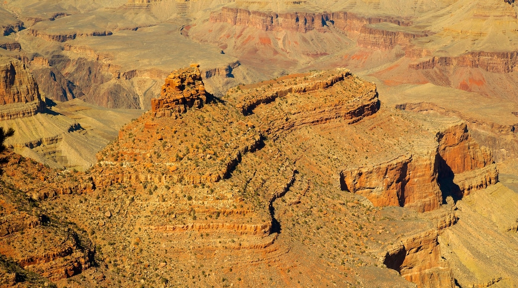 Phoenix caratteristiche di vista del paesaggio e gola o canyon