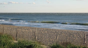 Rehoboth Beach showing a sandy beach